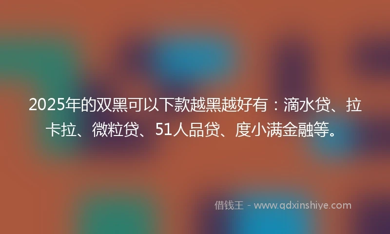 2025年的双黑可以下款越黑越好有：滴水贷、拉卡拉、微粒贷、51人品贷、度小满金融等。