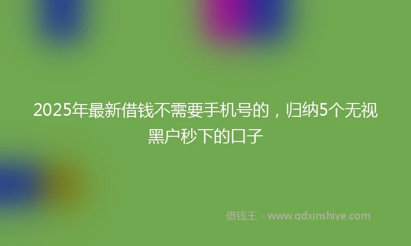 2025年最新借钱不需要手机号的，归纳5个无视黑户秒下的口子