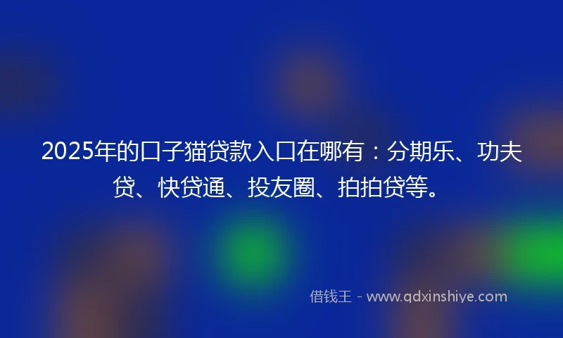 2025年的口子猫贷款入口在哪有：分期乐、功夫贷、快贷通、投友圈、拍拍贷等。