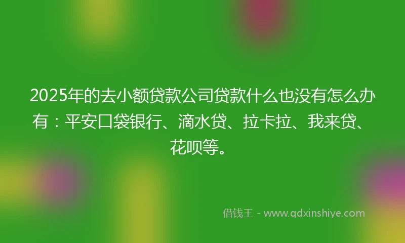 2025年的去小额贷款公司贷款什么也没有怎么办有：平安口袋银行、滴水贷、拉卡拉、我来贷、花呗等。