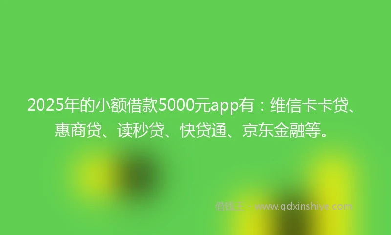 2025年的小额借款5000元app有：维信卡卡贷、惠商贷、读秒贷、快贷通、京东金融等。