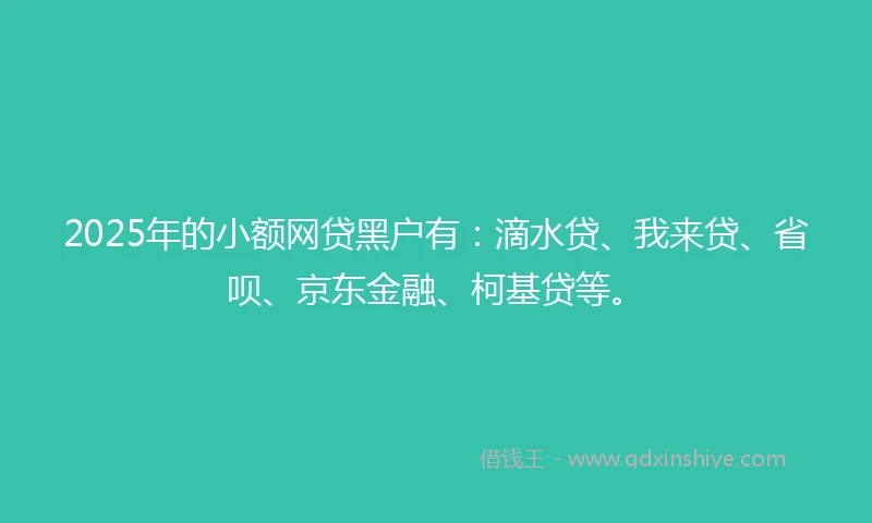 2025年的小额网贷黑户有：滴水贷、我来贷、省呗、京东金融、柯基贷等。