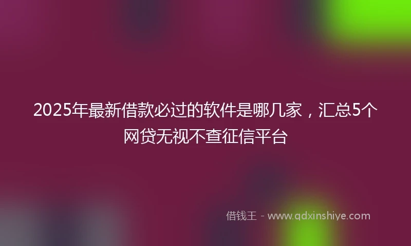 2025年最新借款必过的软件是哪几家，汇总5个网贷无视不查征信平台