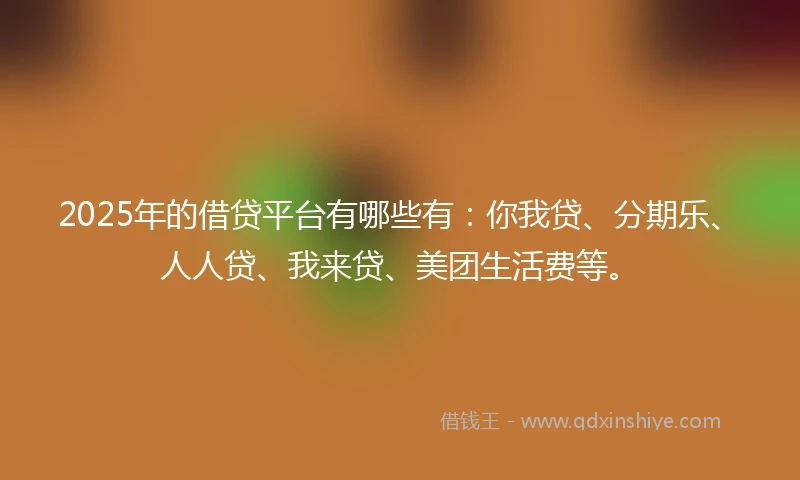 2025年的借贷平台有哪些有：你我贷、分期乐、人人贷、我来贷、美团生活费等。