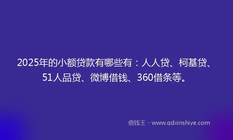 2025年的小额贷款有哪些有：人人贷、柯基贷、51人品贷、微博借钱、360借条等。