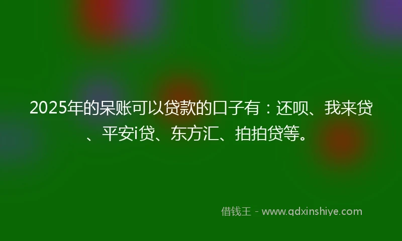2025年的呆账可以贷款的口子有：还呗、我来贷、平安i贷、东方汇、拍拍贷等。