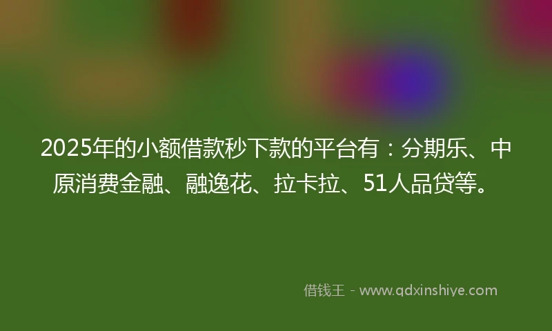 2025年的小额借款秒下款的平台有：分期乐、中原消费金融、融逸花、拉卡拉、51人品贷等。