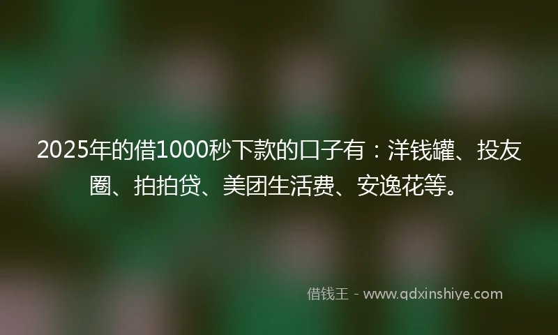 2025年的借1000秒下款的口子有：洋钱罐、投友圈、拍拍贷、美团生活费、安逸花等。