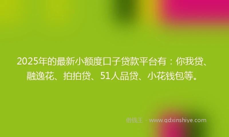 2025年的最新小额度口子贷款平台有：你我贷、融逸花、拍拍贷、51人品贷、小花钱包等。