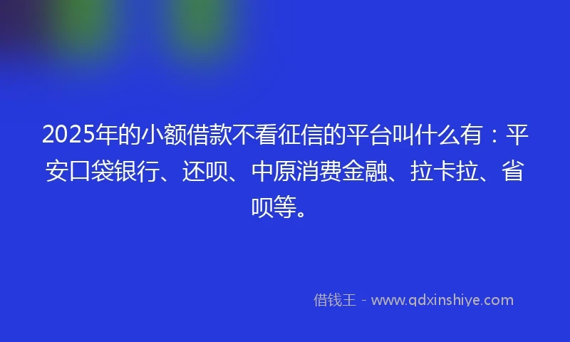 2025年的小额借款不看征信的平台叫什么有：平安口袋银行、还呗、中原消费金融、拉卡拉、省呗等。