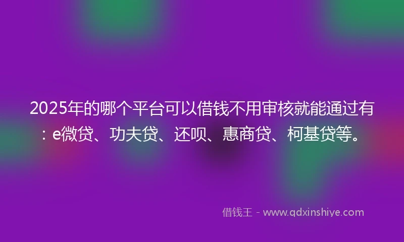 2025年的哪个平台可以借钱不用审核就能通过有：e微贷、功夫贷、还呗、惠商贷、柯基贷等。