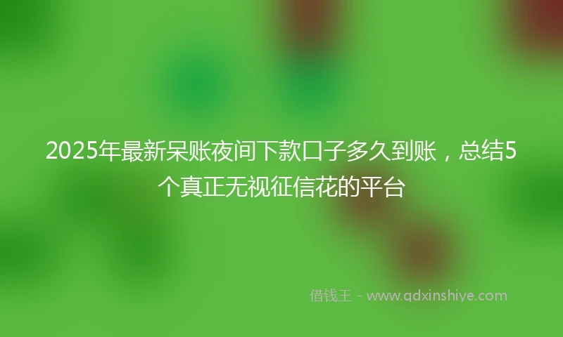 2025年最新呆账夜间下款口子多久到账，总结5个真正无视征信花的平台