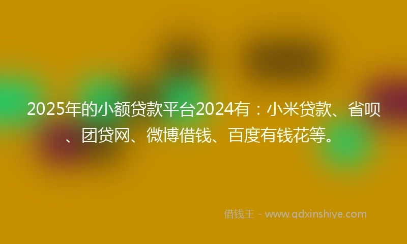 2025年的小额贷款平台2024有：小米贷款、省呗、团贷网、微博借钱、百度有钱花等。