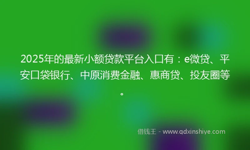 2025年的最新小额贷款平台入口有：e微贷、平安口袋银行、中原消费金融、惠商贷、投友圈等。