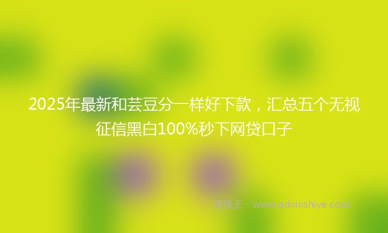 2025年最新和芸豆分一样好下款，汇总五个无视征信黑白100%秒下网贷口子