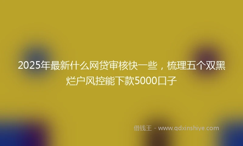 2025年最新什么网贷审核快一些，梳理五个双黑烂户风控能下款5000口子