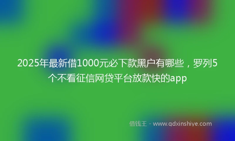 2025年最新借1000元必下款黑户有哪些，罗列5个不看征信网贷平台放款快的app