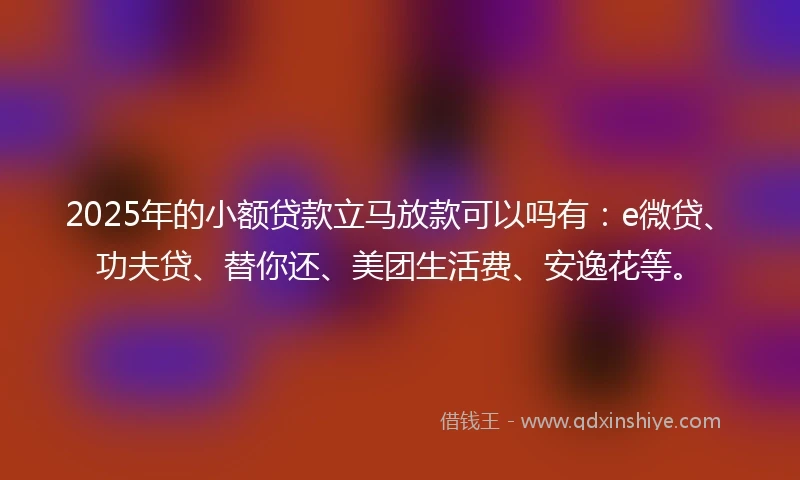 2025年的小额贷款立马放款可以吗有：e微贷、功夫贷、替你还、美团生活费、安逸花等。
