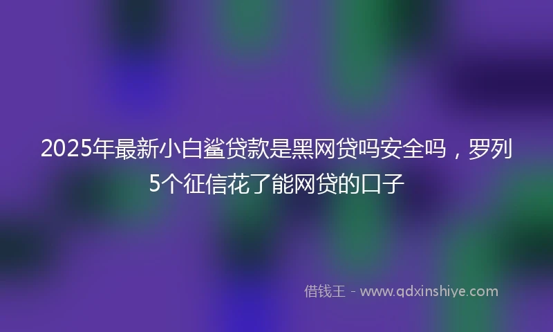 2025年最新小白鲨贷款是黑网贷吗安全吗，罗列5个征信花了能网贷的口子