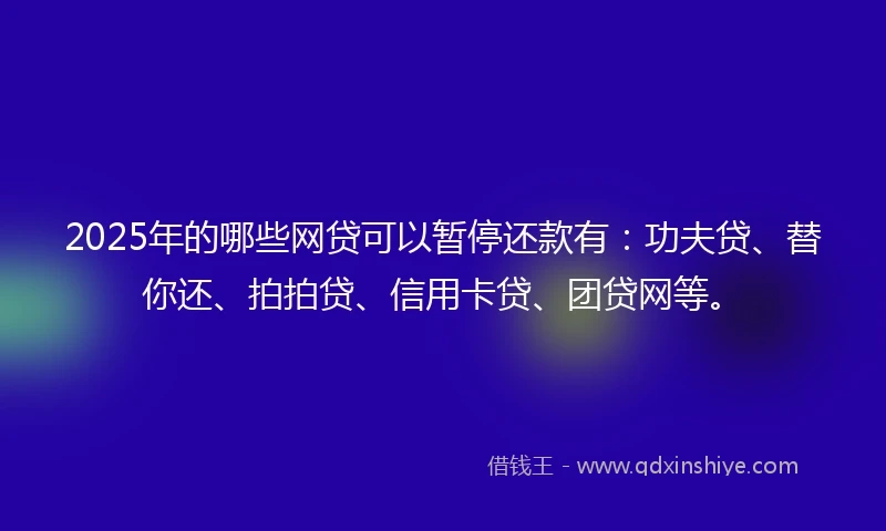 2025年的哪些网贷可以暂停还款有：功夫贷、替你还、拍拍贷、信用卡贷、团贷网等。