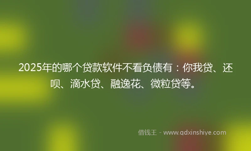 2025年的哪个贷款软件不看负债有：你我贷、还呗、滴水贷、融逸花、微粒贷等。