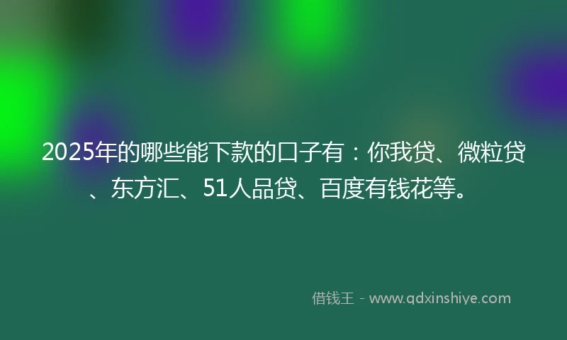 2025年的哪些能下款的口子有：你我贷、微粒贷、东方汇、51人品贷、百度有钱花等。