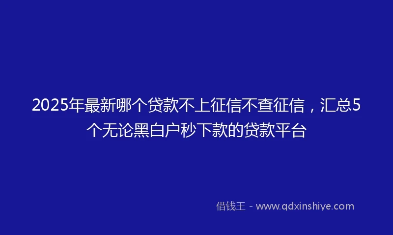 2025年最新哪个贷款不上征信不查征信，汇总5个无论黑白户秒下款的贷款平台