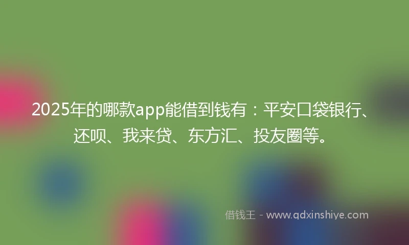 2025年的哪款app能借到钱有：平安口袋银行、还呗、我来贷、东方汇、投友圈等。