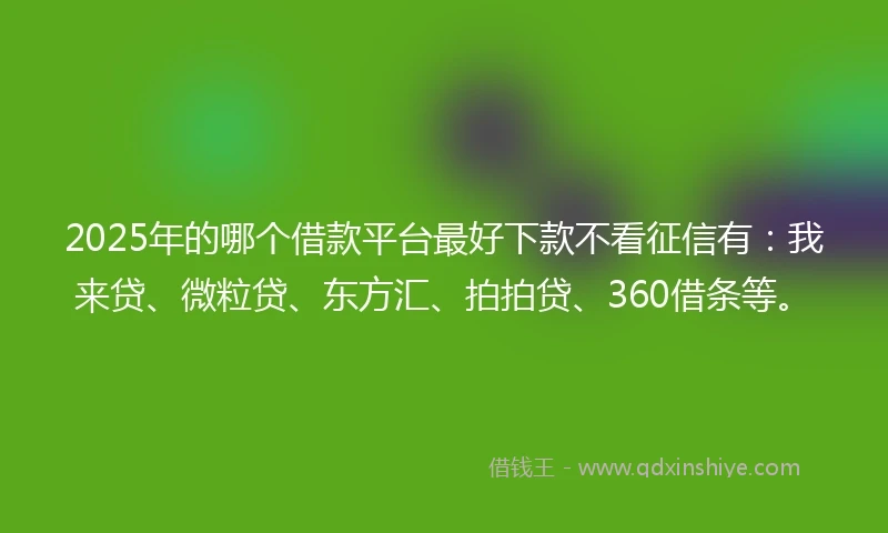 2025年的哪个借款平台最好下款不看征信有：我来贷、微粒贷、东方汇、拍拍贷、360借条等。