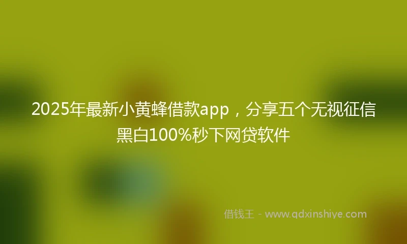 2025年最新小黄蜂借款app，分享五个无视征信黑白100%秒下网贷软件