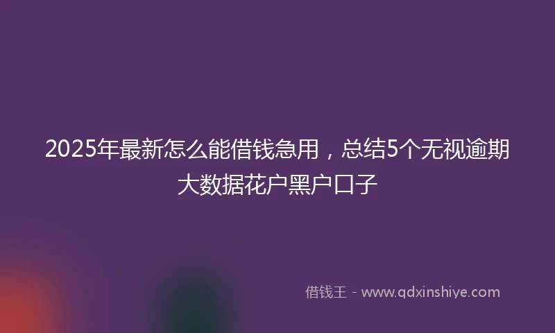 2025年最新怎么能借钱急用，总结5个无视逾期大数据花户黑户口子