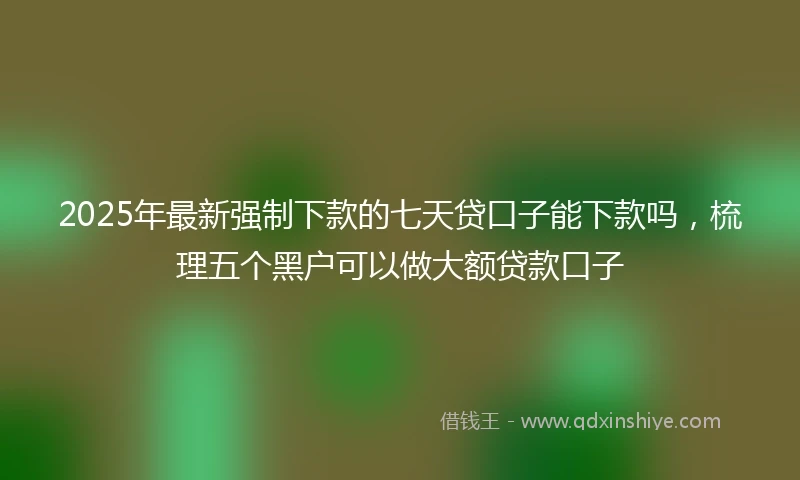 2025年最新强制下款的七天贷口子能下款吗，梳理五个黑户可以做大额贷款口子