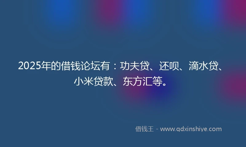 2025年的借钱论坛有：功夫贷、还呗、滴水贷、小米贷款、东方汇等。