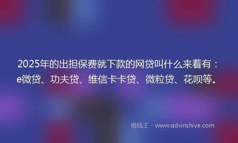 2025年的出担保费就下款的网贷叫什么来着有：e微贷、功夫贷、维信卡卡贷、微粒贷、花呗等。