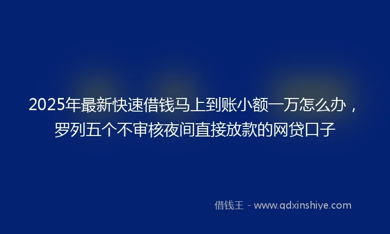 2025年最新快速借钱马上到账小额一万怎么办，罗列五个不审核夜间直接放款的网贷口子