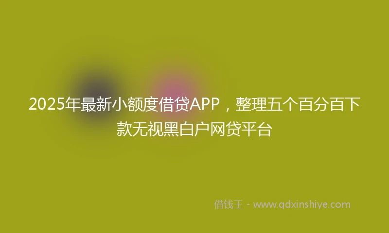 2025年最新小额度借贷APP，整理五个百分百下款无视黑白户网贷平台