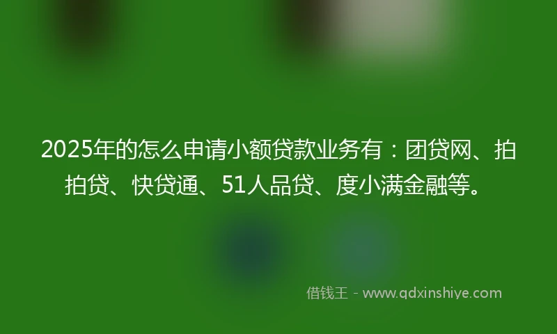 2025年的怎么申请小额贷款业务有：团贷网、拍拍贷、快贷通、51人品贷、度小满金融等。