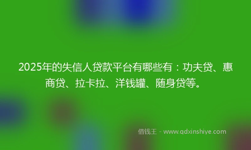 2025年的失信人贷款平台有哪些有：功夫贷、惠商贷、拉卡拉、洋钱罐、随身贷等。