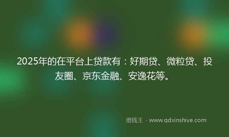 2025年的在平台上贷款有：好期贷、微粒贷、投友圈、京东金融、安逸花等。