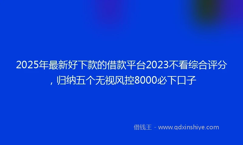 2025年最新好下款的借款平台2023不看综合评分，归纳五个无视风控8000必下口子