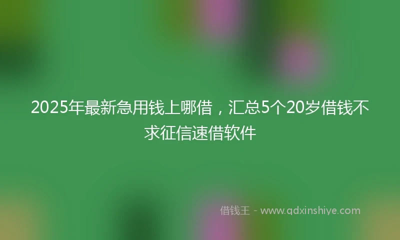 2025年最新急用钱上哪借，汇总5个20岁借钱不求征信速借软件