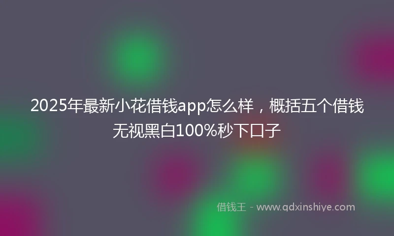 2025年最新小花借钱app怎么样，概括五个借钱无视黑白100%秒下口子