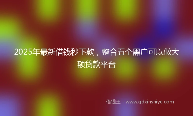 2025年最新借钱秒下款，整合五个黑户可以做大额贷款平台
