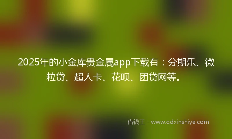 2025年的小金库贵金属app下载有：分期乐、微粒贷、超人卡、花呗、团贷网等。