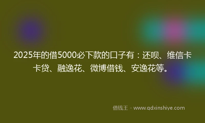 2025年的借5000必下款的口子有：还呗、维信卡卡贷、融逸花、微博借钱、安逸花等。
