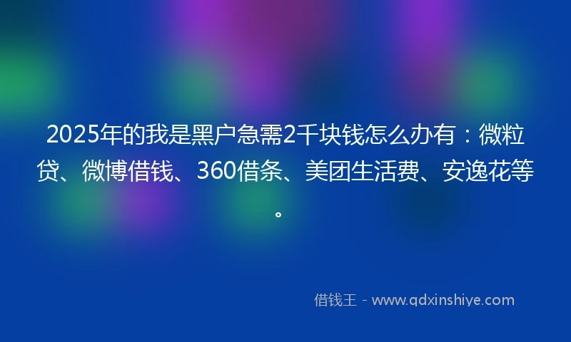2025年的我是黑户急需2千块钱怎么办有：微粒贷、微博借钱、360借条、美团生活费、安逸花等。