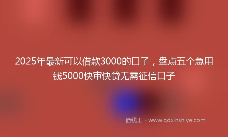 2025年最新可以借款3000的口子，盘点五个急用钱5000快审快贷无需征信口子