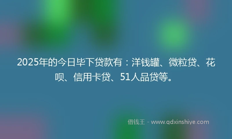 2025年的今日毕下贷款有：洋钱罐、微粒贷、花呗、信用卡贷、51人品贷等。