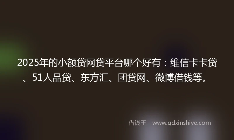 2025年的小额贷网贷平台哪个好有：维信卡卡贷、51人品贷、东方汇、团贷网、微博借钱等。