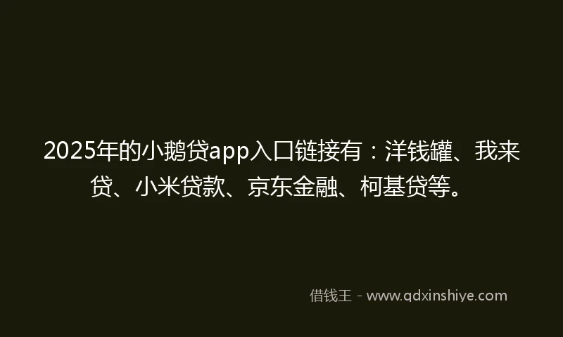 2025年的小鹅贷app入口链接有：洋钱罐、我来贷、小米贷款、京东金融、柯基贷等。